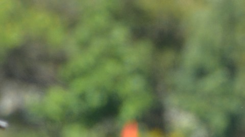 Carmen Contreras ejerce de árbitro en finales varoniles y se ha ganado el respeto de todos.