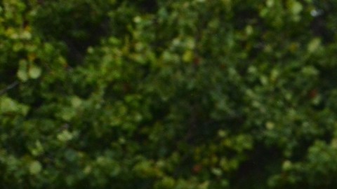 José Fuentes (derecha) con su coach Manuel Bautista de Chicago Road Runners.