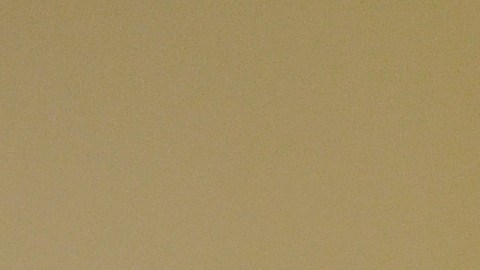 Raquel Cruz, amparada con el programa de Acción Diferida para los Llegados en la Infancia (DACA), dice estar preocupada porque aún no recibe la renovación de su permiso laboral.