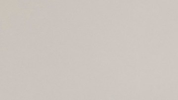 Esther Sciammarella es la directora ejecutiva de la Coalición para la Salud Hispana de Chicago.