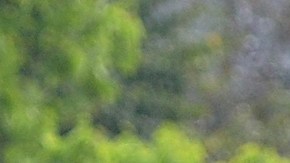 La Mangana y Ojo Seco disputaron el domingo 16 de octubre una lluviosa final.