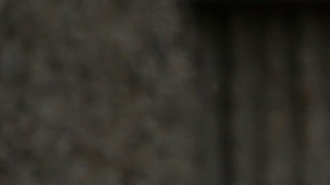 No hubo huelga de maestros de CPS el pasado 11 de octubre en Chicago, luego de que el Sindicato y las autoridades lograronun acuerdo. En abril pasado sí se realizó una huelga de un día.