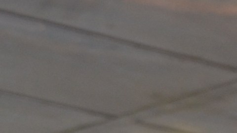 Janise Montero votó por primera vez este 8 de noviembre. Apoyó a Clinton.