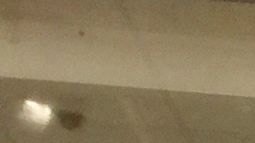 Con las ganancias de la venta de tamales y champurrado, Norma Casco envía dinero a su familia en Puebla, México.