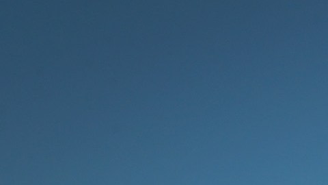 Enormes masas de fanáticos de los Cubs celebraron con su equipo, en Chicago, la victoria en la Serie Mundial.