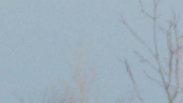 Vive una aventura polar junto al Lago Michigan y en Chicago en Northerly Island.