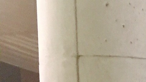 Emocionada y con gran expectativa Diana Hernández asistió a escuchar el último discurso del presidente Barack Obama en el McCormick Place de Chicago. (Belhú Sanabria / La Raza)