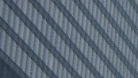 Líderes, activistas y defensores de los derechos de los inmigrantes durante una manifestación frente a la torre Trump en el centro de Chicago en tiempos de la pasada campaña electoral.  (Belhú Sanabria / La Raza)