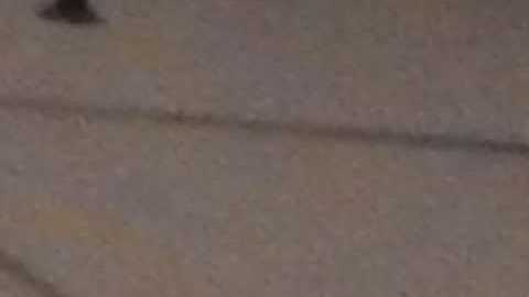 El desayuno sirve para que los jugadores convivan con aficionados, en la foto Javier Madriz y Arturo Álvarez. (Javier Quiroz / La Raza)