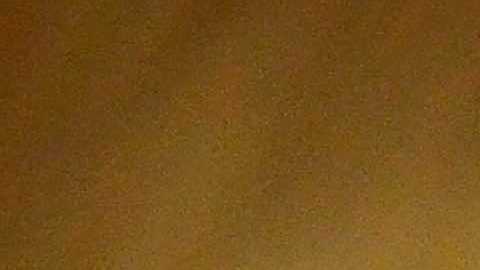 Los hermanos Alejandro y Daniel Fonseca con uno de sus trofeos de campeones. (Javier Quiroz / La Raza)