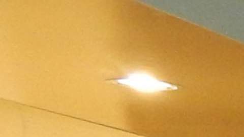 Rocío Pilar con su equipo de futbol de hombres, Fair Play Soccer. (Javier Quiroz / La Raza)