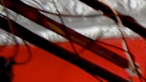 La Alianza por los Derechos de los Inmigrantes y miembros de organizaciones aliadas se reunieron para diseñar estrategias mediante un plan binacional de ‘Resistencia y Unidad’ en defensa de los inmigrantes en la Catrina Café en el barrio del Pilsen de Chicago, el pasado 4 de febrero.  (Belhú Sanabria/La Raza)