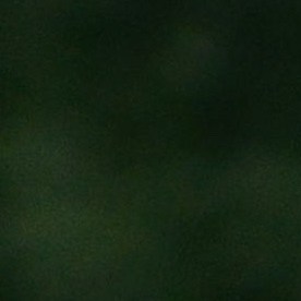 Armando ”Woody” Sánchez, de las Águilas del América a Chicago. (Javier Quiroz / La Raza)