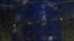 El torneo de verano tendrá categoría libre y de niños y niñas de todas las edades. (Javier Quiroz / La Raza)