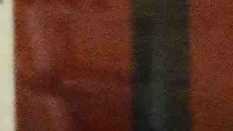 Las ligas de Chicago hacen una pausa al futbol bajo techo. (Javier Quiroz / La Raza)