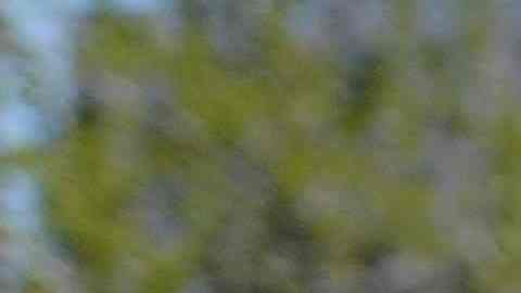 Mario Castrejón vive de retos deportivos,  desde una milla hasta un maratón. (Javier Quiroz / La Raza)