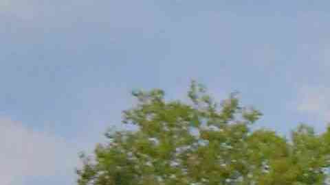 El equipo Tigres Centro Mexico Soccer Club ya entrena en el Harrison Park, en Pilsen. (Javier Quiroz / La Raza)
