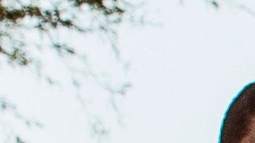 El Mariachi Nuevo Tecalitlán.