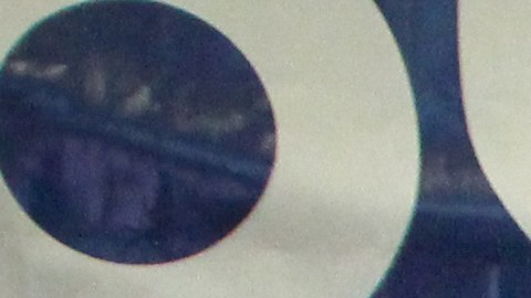 Ejecutivos de Goya Foods y del Banco de Alimentos del Norte de Illinois (Northern Illinois Food Bank) celebran la donación de 40,000 libras de alimentos que Goya hizo a esa institución, integrante de Feeding America.