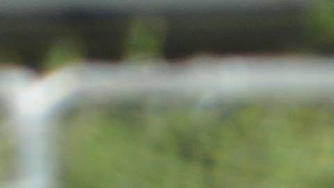 La Copa Alianza se juega del 15 al 16 de julio en Naperville, Polo Grounds. (Javier Quiroz / La Raza)