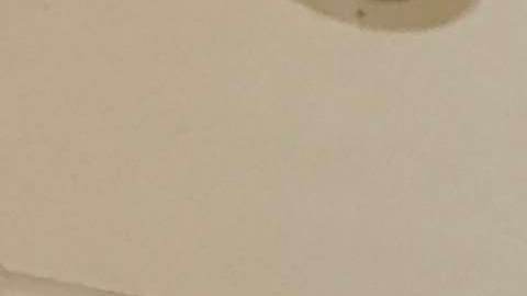 Orangel Balza lanzó en Chicago su libro ‘Citas con el Beisbol’. (Javier Quiroz / La Raza)