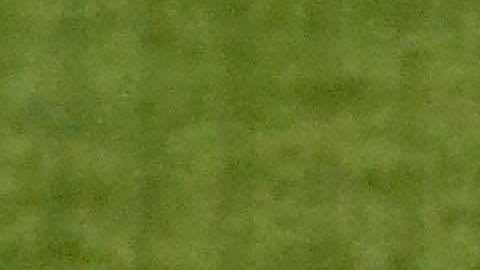 El equipo del sur de Chicago pelea por salir del sótano de la División Central. (Javier Quiroz / La Raza)