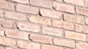 La indocumentada mexicana Francisca Lino, madre de seis hijos ciudadanos y a punto de ser deportada, recibió santuario en la iglesia metodista Adalberto, la misma que protegió durante un año a la activista Elvira Arellano en Chicago (Illinois).