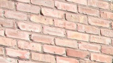 La indocumentada mexicana Francisca Lino, madre de seis hijos ciudadanos y a punto de ser deportada, recibió santuario en la iglesia metodista Adalberto, la misma que protegió durante un año a la activista Elvira Arellano en Chicago (Illinois).