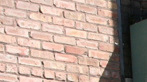 La indocumentada mexicana Francisca Lino, madre de seis hijos ciudadanos y a punto de ser deportada, recibió santuario en la iglesia metodista Adalberto, la misma que protegió durante un año a la activista Elvira Arellano en Chicago (Illinois).