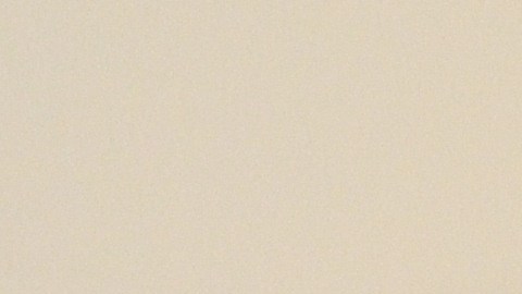 Francisca Lino permanece refugiada en la iglesia Metodista Unida San Adalberto en el barrio puertorriqueño de Humboldt Park, Chicago. (Belhú Sanabria / La Raza)