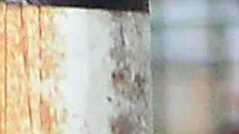 Sergio ‘Matute’ García hizo un buen papel con el equipo La Piedad de la liga CLASA en Chicago. (Javier Quiroz / La Raza)