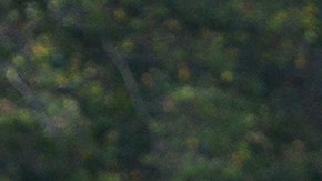 Las finales de la Liga Douglas se jugarán en los campos del Douglas Park. (Javier Quiroz / La Raza)