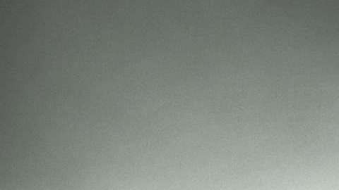 La autoridades de salud de Florida confirmaron la muerte por rabia de una persona que probablemente contrajo la enfermedad tras haber sido mordida por un murciélago. (Koen Van Weel/ EFE)