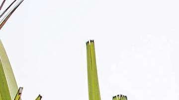 Ana Brenda Contreras junto a su papá Efraín Contreras