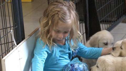 Caleigh, de tan solo 4 años, salva a un hombre que estaba sufiendo un ataque epiléptico.