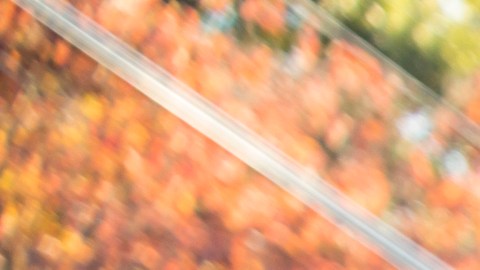 La caminata en apoyo a la lucha contra el cáncer de seno, organizada por la Sociedad Americana contra el Cáncer, es este sábado 21 de octubre de 2017, 8 am, en el Soldier Field de Chicago.