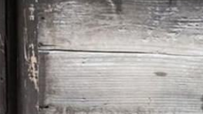 Un ninja puso en jaque a las autoridades por años.