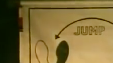 De Broadway a las pistas de baile del mundo.