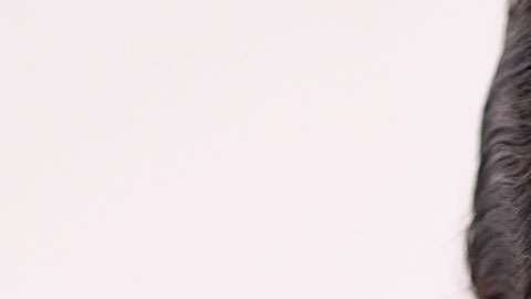 Carmen Villalobos está de luto.