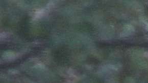 Hombre que manejaba la camioneta de Home Depot mata a 8 personas, de ellas 5 argentinos, en el ataque terrorista del Bajo Manhattan.