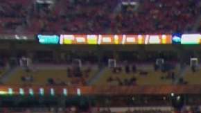 John Sutcliffe sorprendió disfrazado de oso