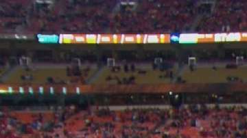 John Sutcliffe sorprendió disfrazado de oso