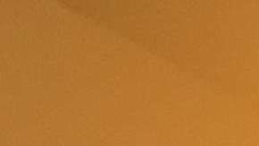 Aunque es una iniativa mexicana se atenderá a "Dreamers" de cualquier país.