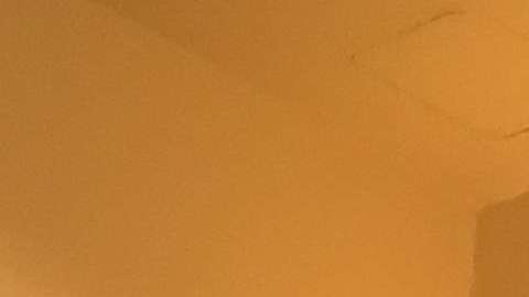 Aunque es una iniativa mexicana se atenderá a "Dreamers" de cualquier país.