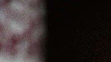 Congresista Frederica Wilson recibió amenazas de muerte tras pelearse con Trump