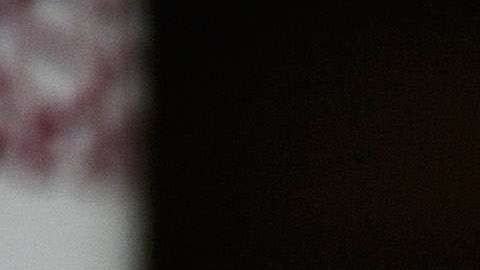 Congresista Frederica Wilson recibió amenazas de muerte tras pelearse con Trump