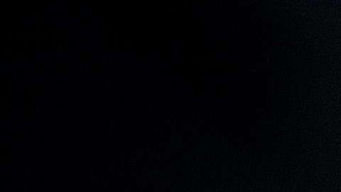 Obama no pidió una exención para no comparecer