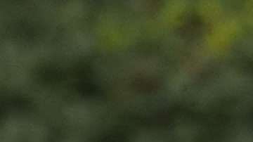 El presidente Pence también ha hablado frente a Marinos.