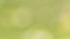 El presidente Trump ha presumido su "poder" de perdonar a quien sea.