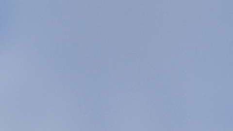 El presidente Donald Trump respaldó la llamada "Ley Kate".